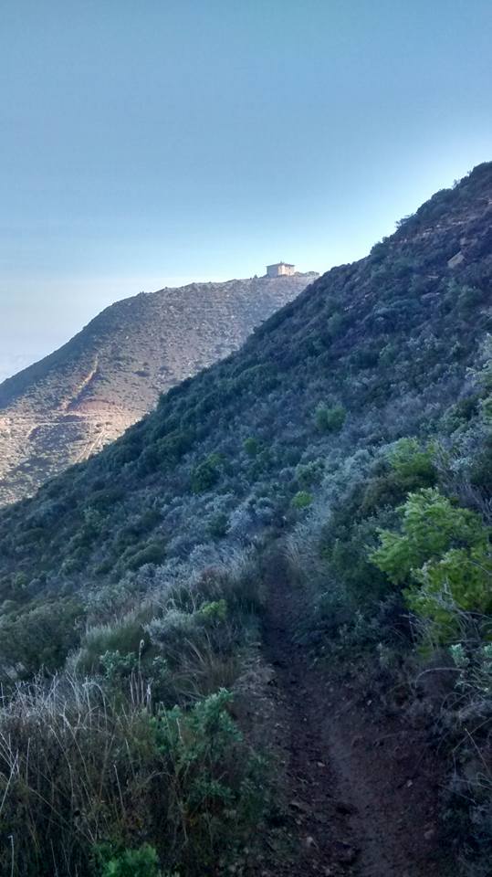 15826851_1252770948141471_2613254857882195404_n