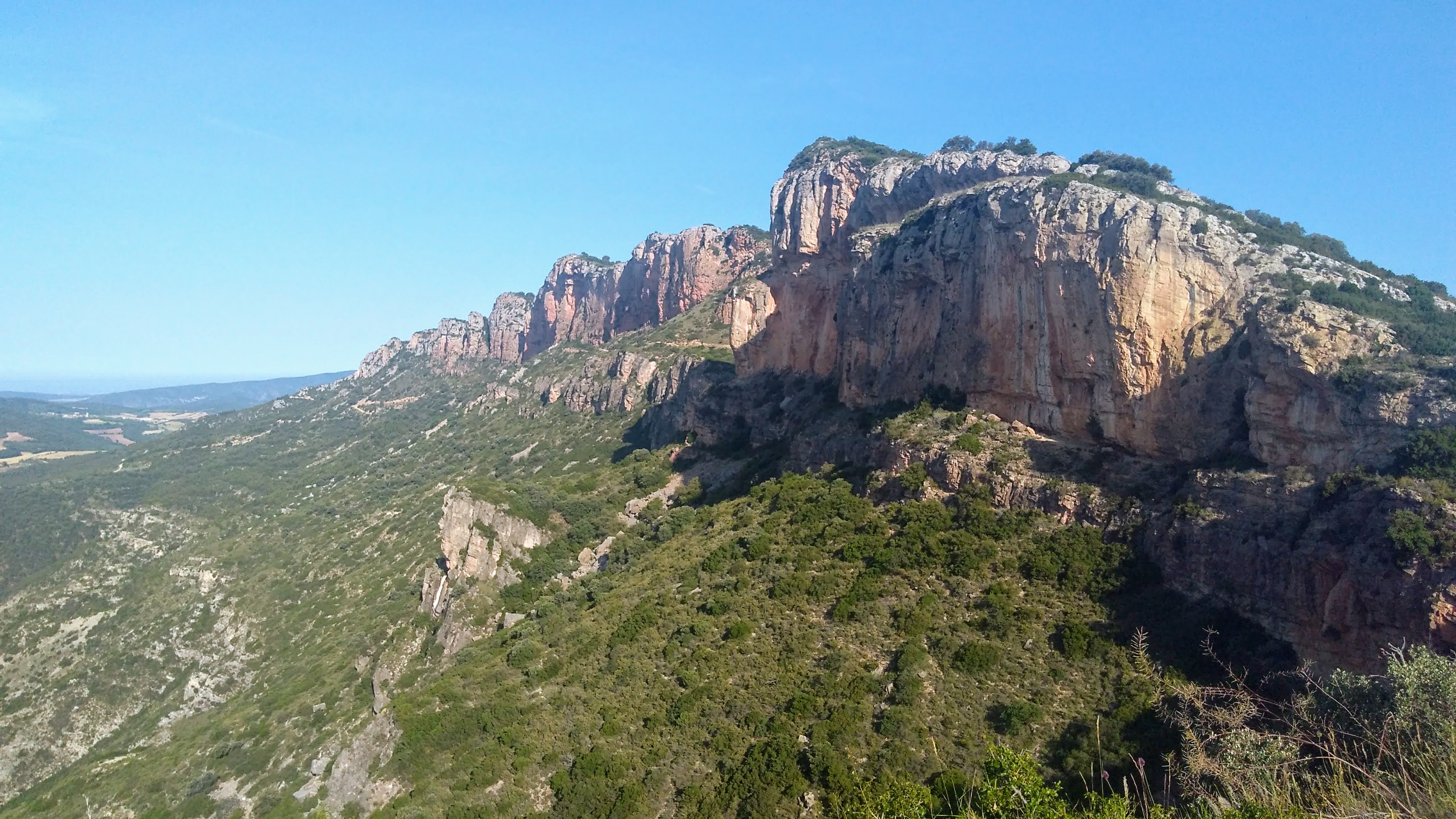 IMG_20170610_084252348