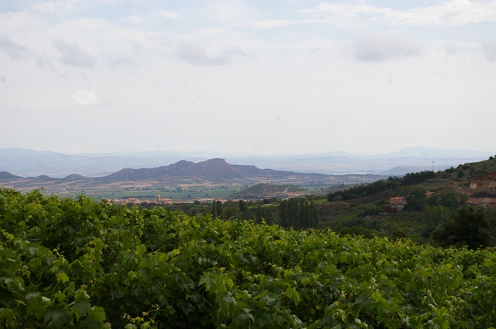 cef2c9c8-eaa2-45fd-8b72-6dbf95946885_med