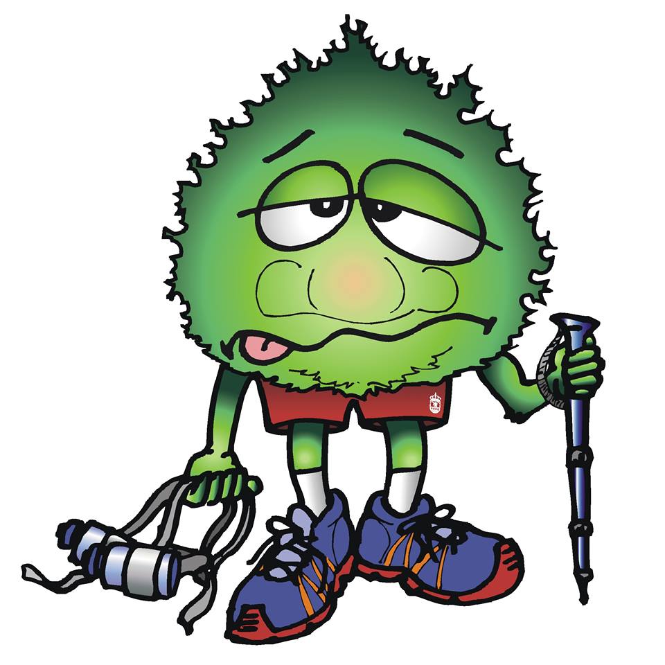 10264970_288751567968997_7840145614278296094_n