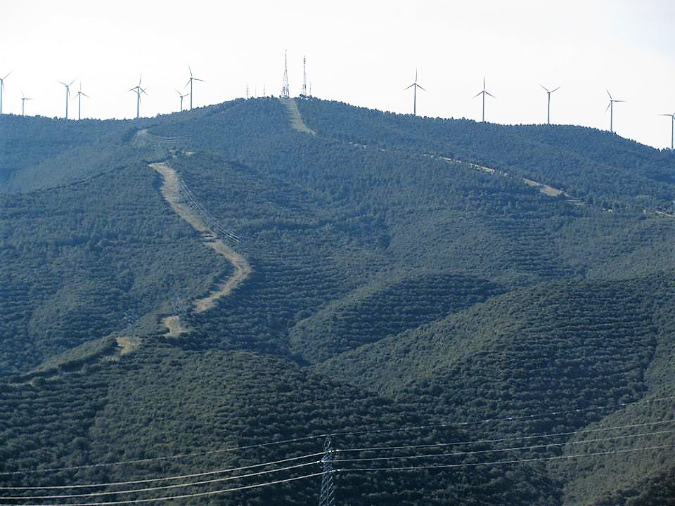 10336663_291739641003523_1426351874945695758_n