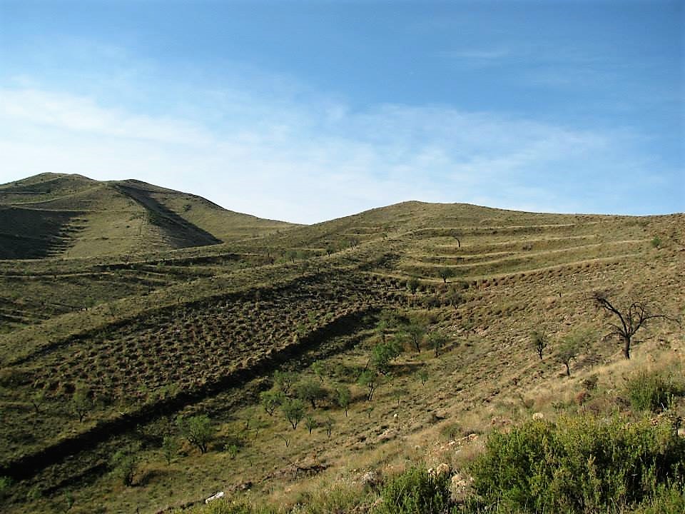 10402623_291739027670251_33346650550885673_n