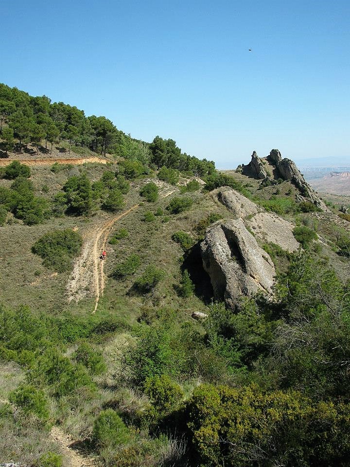 1604399_291740424336778_1953158402760251935_n