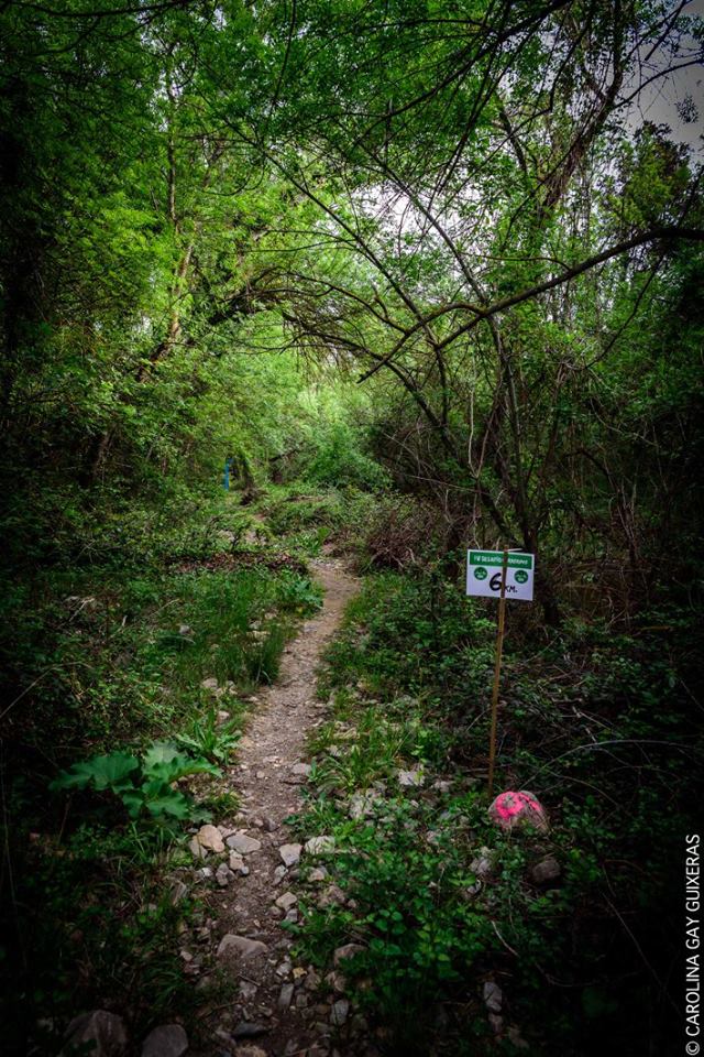 32530691_2079832902239710_2460356497796759552_n