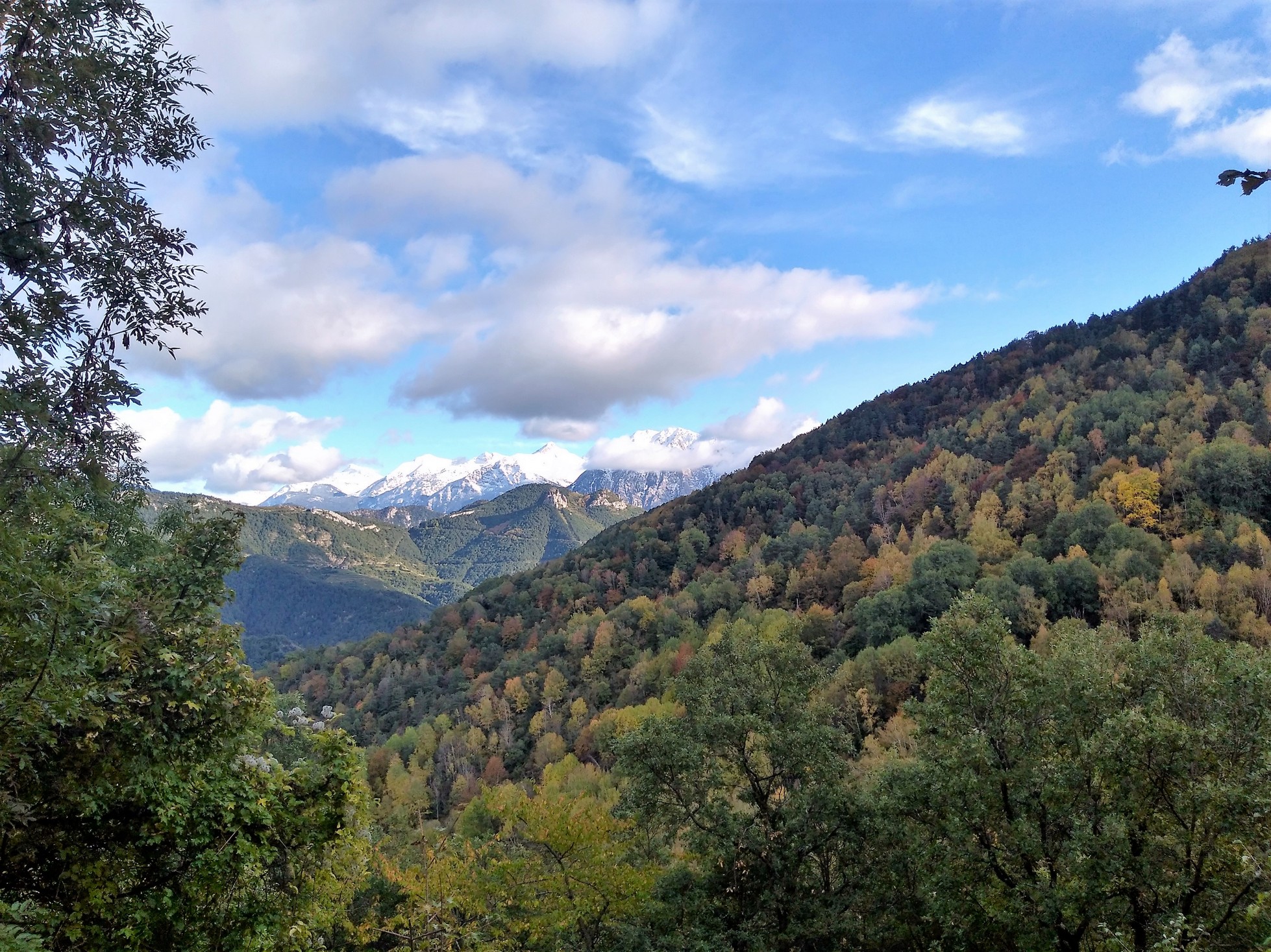 IMG_20181101_154631669_HDR