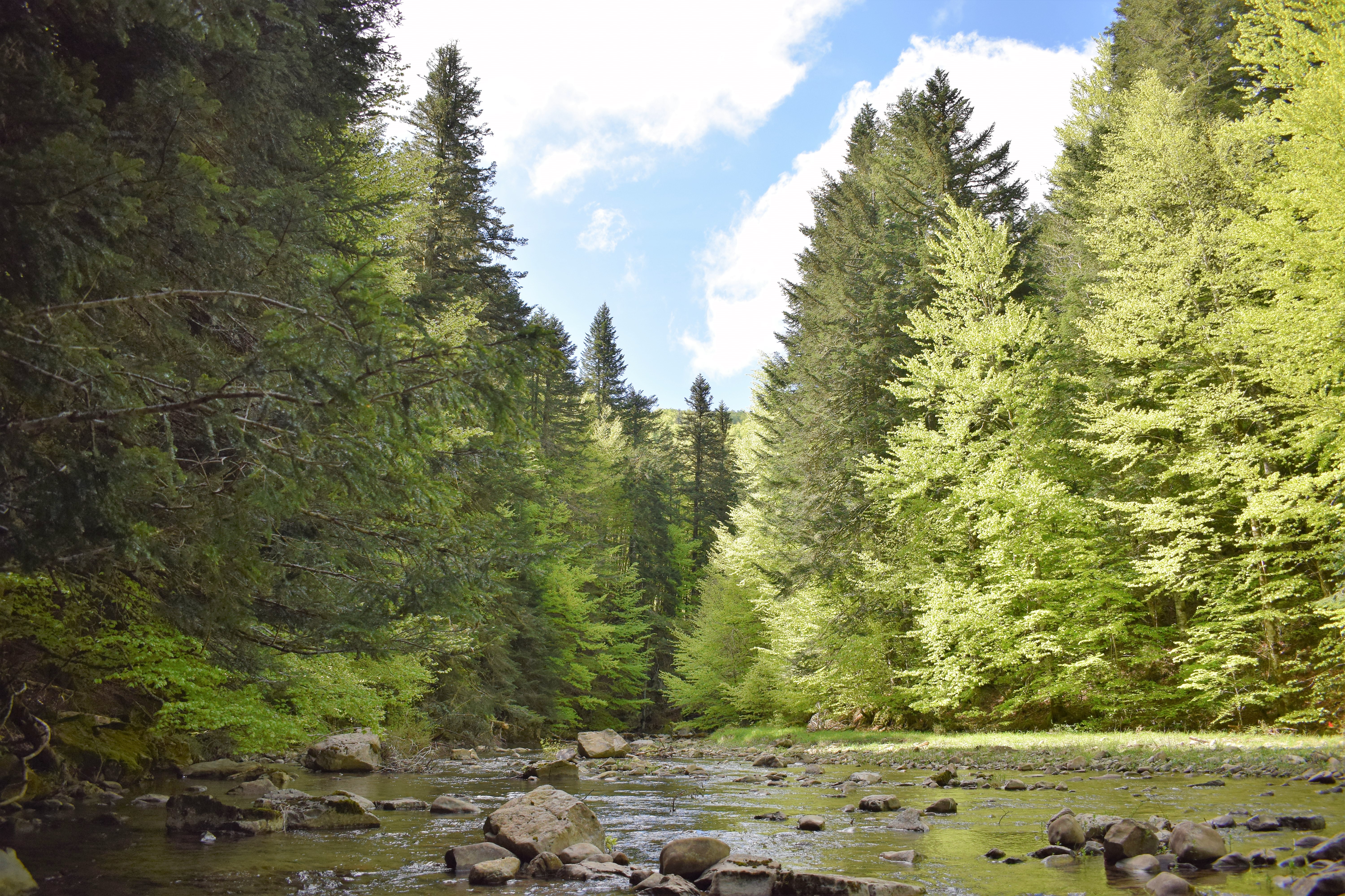 Saray_rio_Urtxuria_2