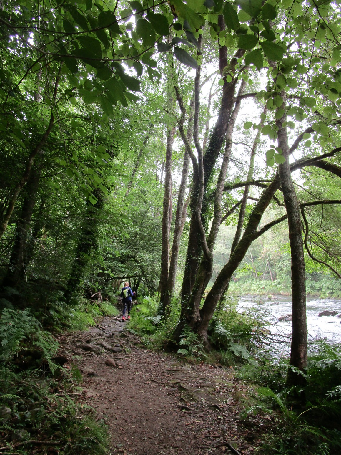 Senda Encomendeiros.