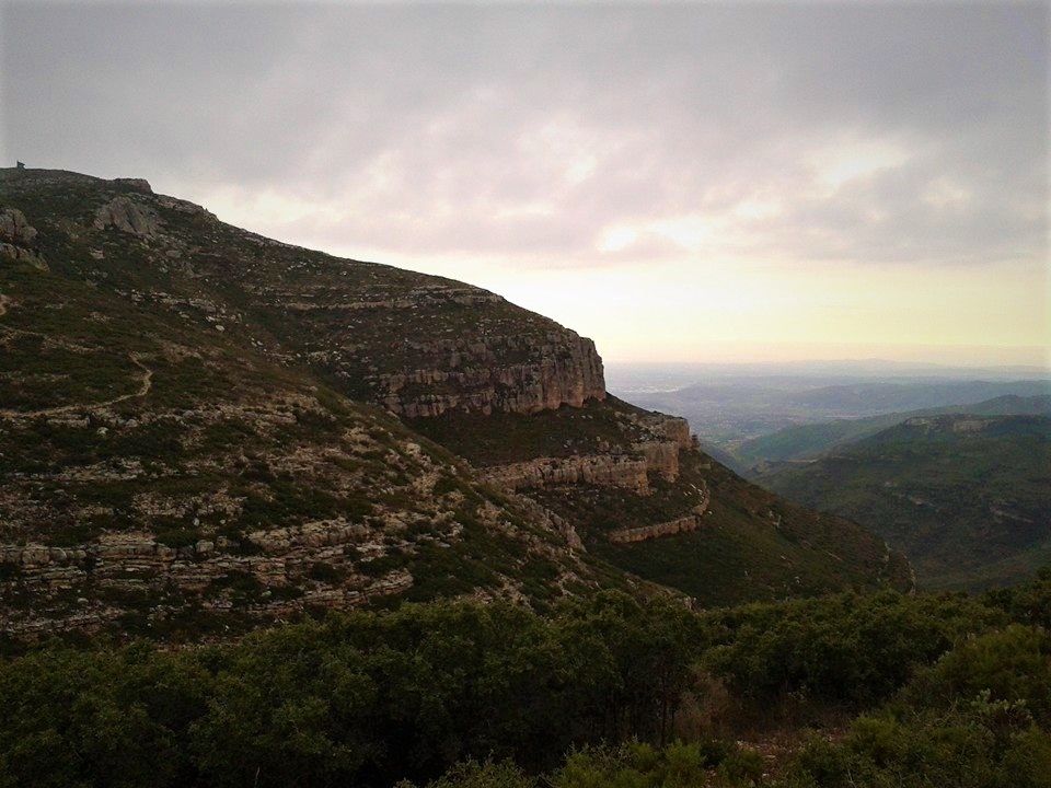 12191662_779491905490040_9114416251886300757_n