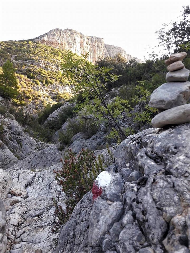 22770487_1324743680964857_2172891801433777544_o