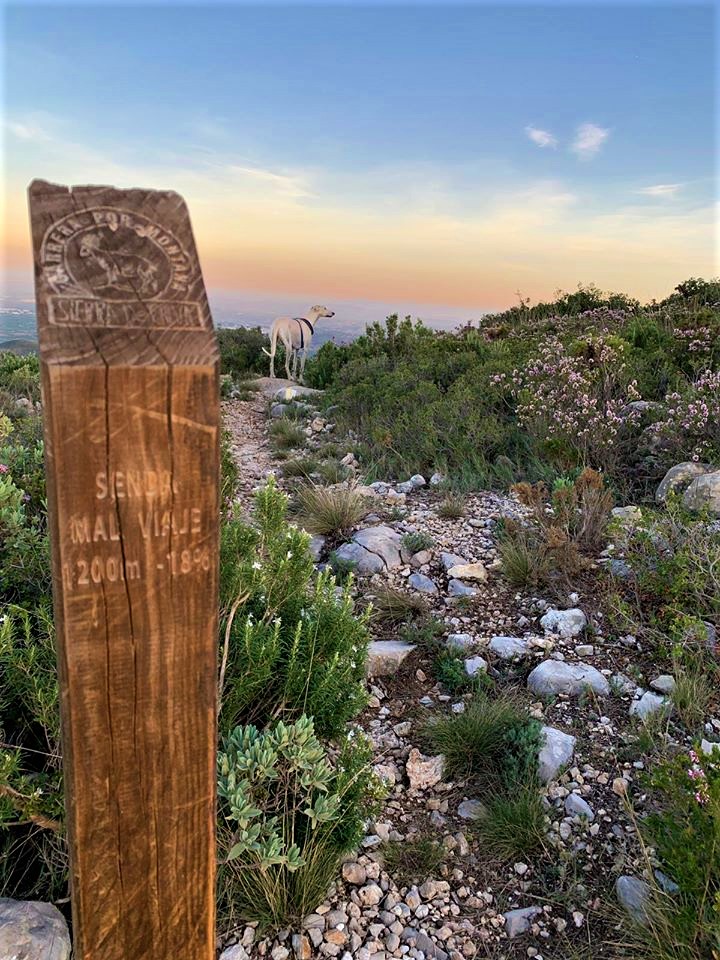 72329345_2278029192302963_7782431266623717376_o