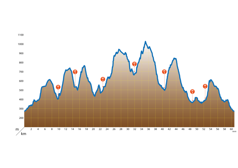 MASTER-COMPLETO_Mesa-de-trabajo-1@4x